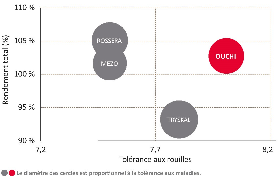 Performances de la variété face aux témoins CTPS