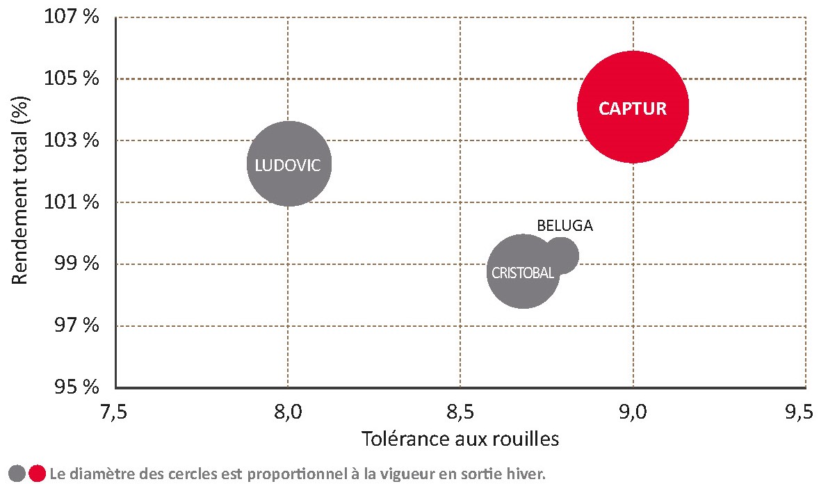 Performances de la variété face aux témoins CTPS