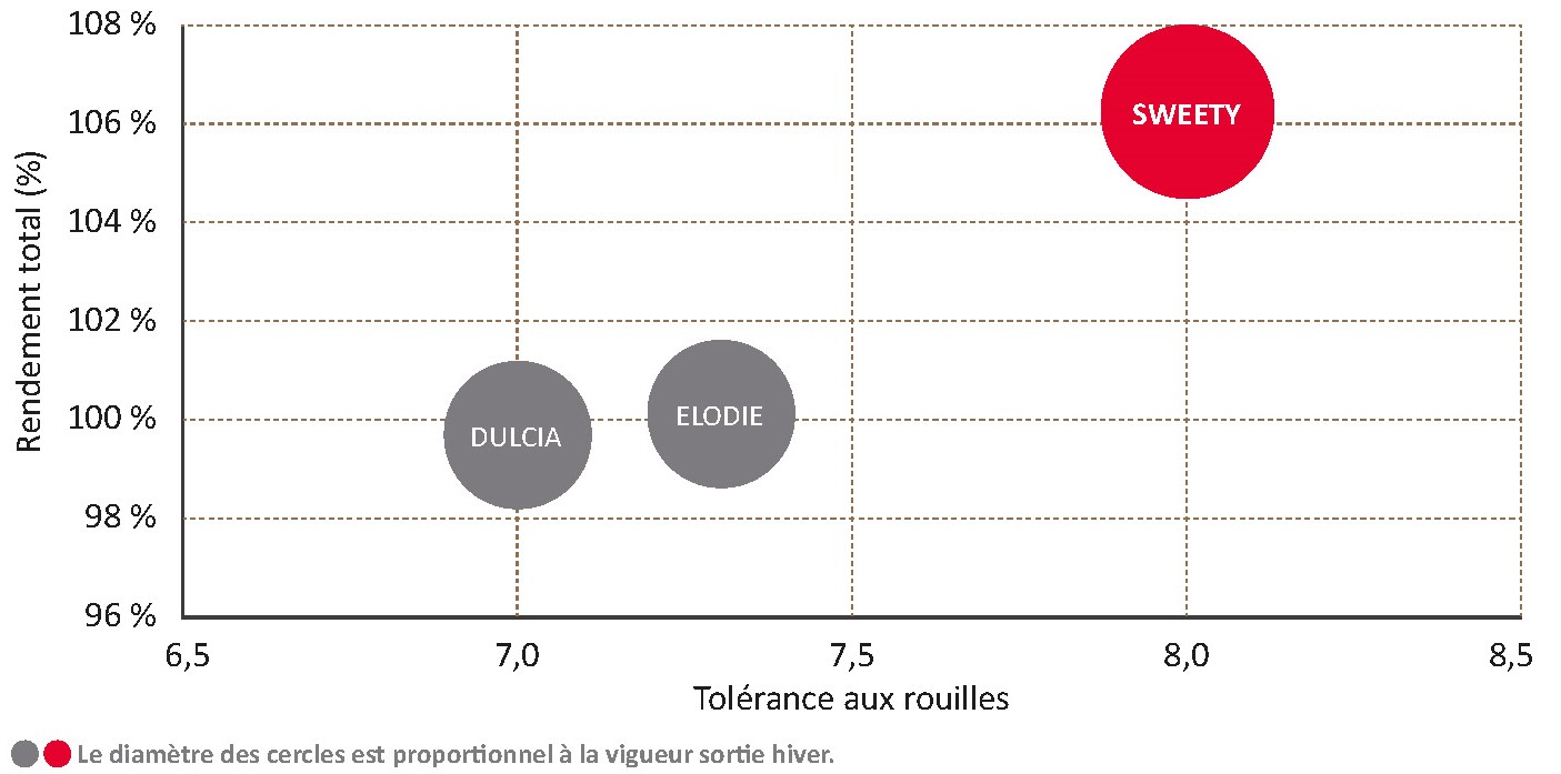 Performances de la variété face aux témoins CTPS