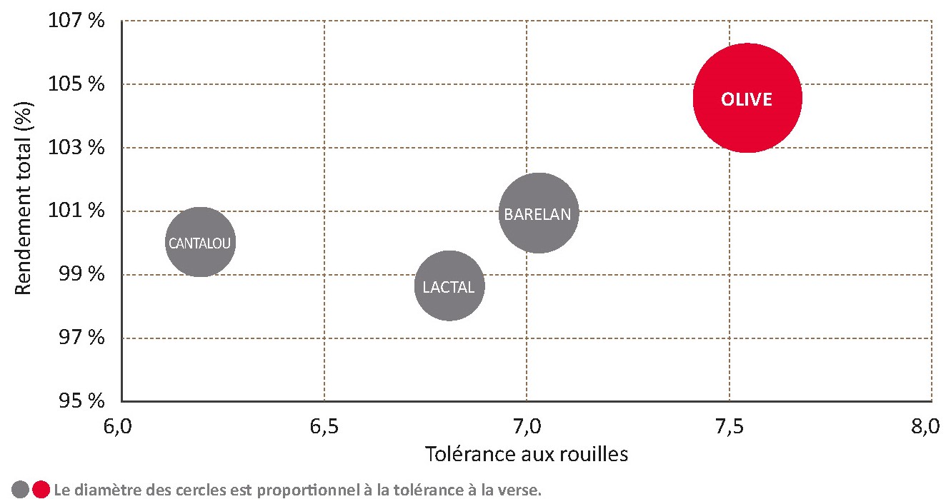Performances de la variété face aux témoins CTPS