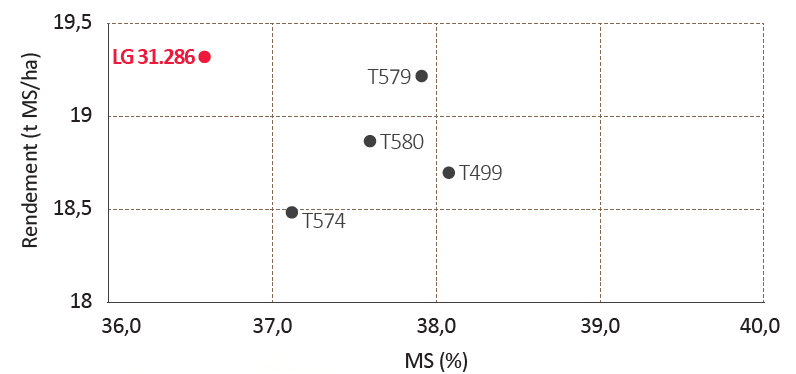 LG 31.286 - Précoce fourrage - 13 lieux France 2025