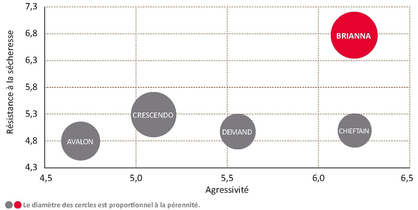 Performances de la variété face aux témoins CTPS