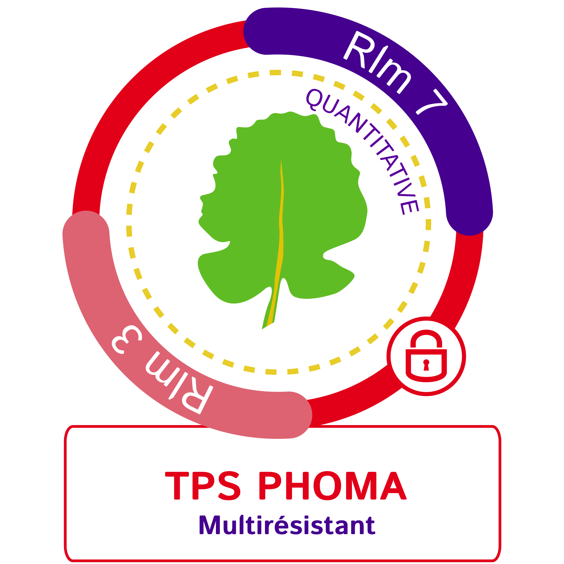 TPS phoma RLM 7 + RLM 3