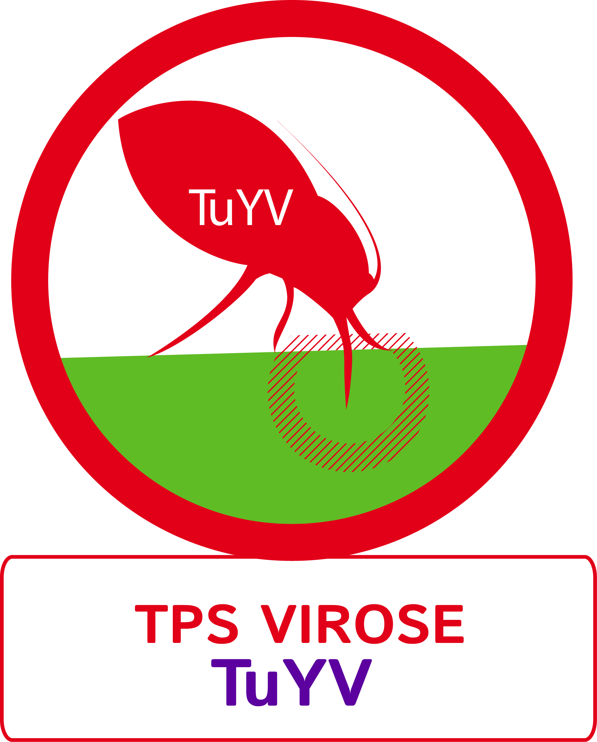TPS virose TuYV