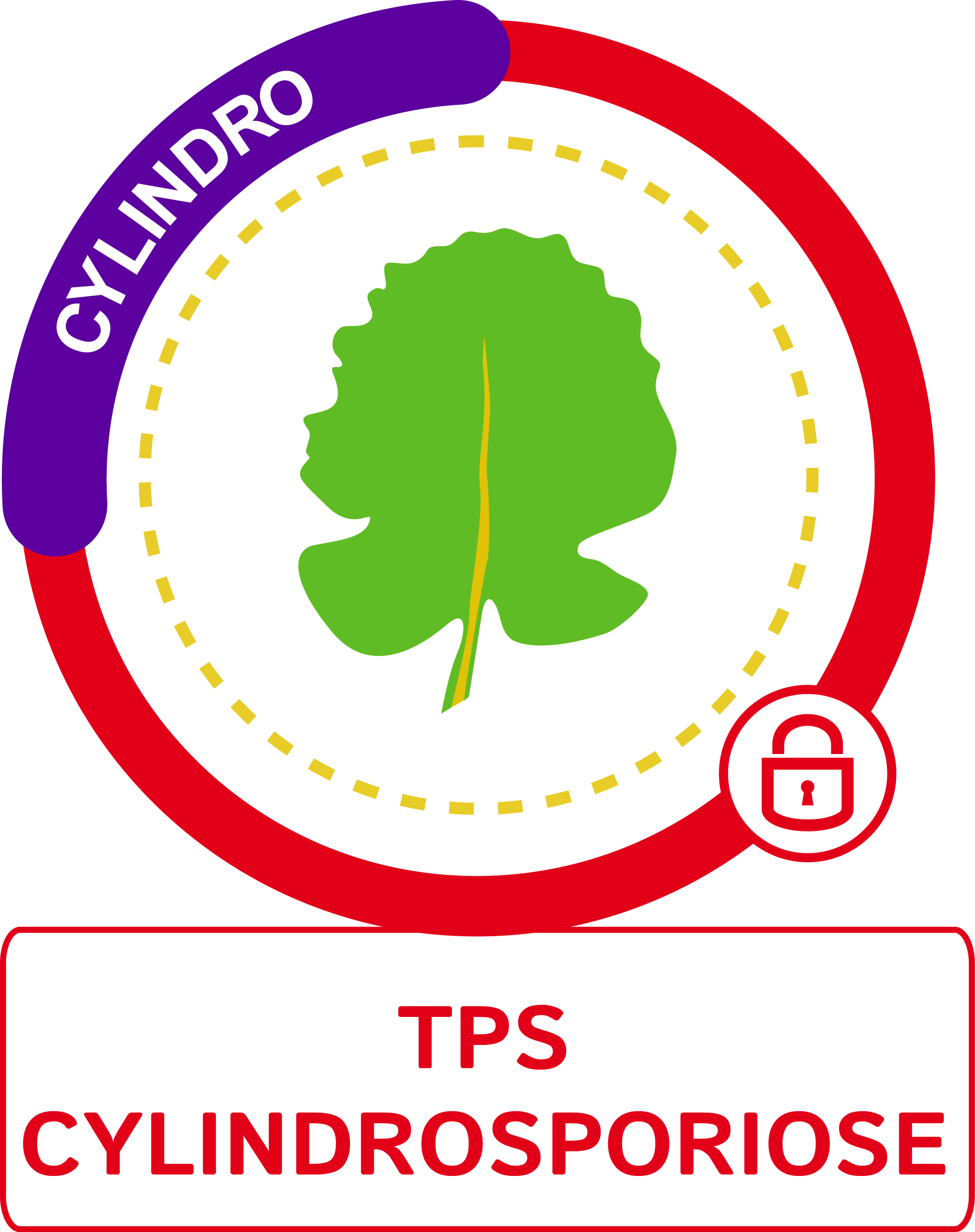 Visuel TPS cylindrosporiose