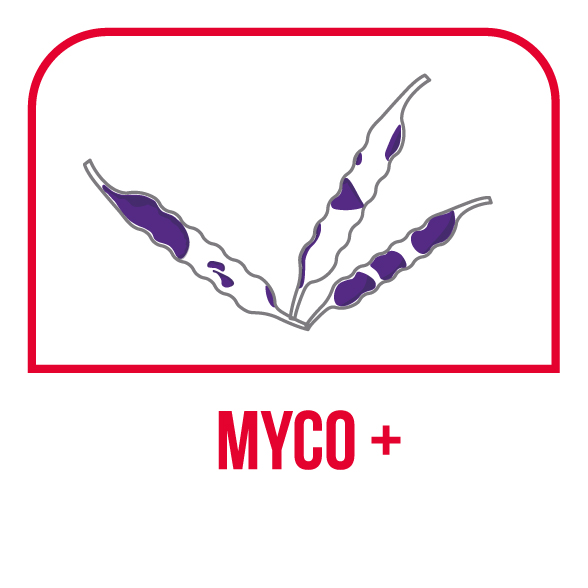 Visuel Myco +