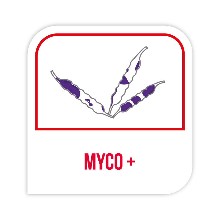 Visuel Myco +