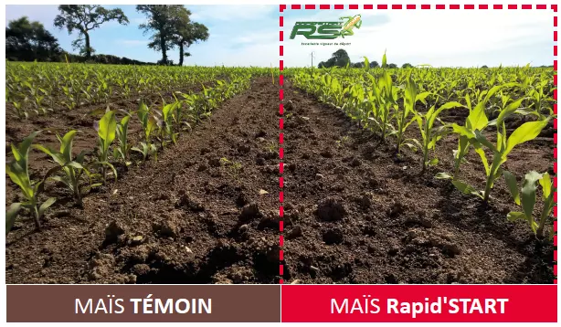 Visuel Illustration comparative Rapid'START