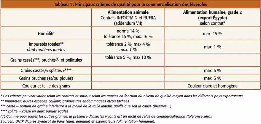 Visuel Qualité des féveroles