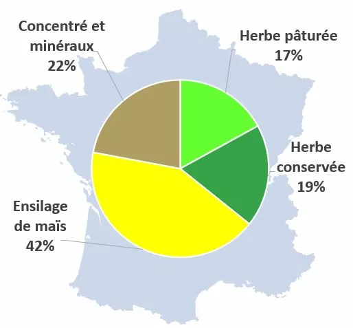 Visuel LG Seeds France - Illustration ration moyenne des vaches laitières - IDELE, CNIEL 2015