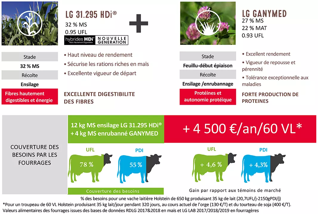 Exemple_RationGagnante_LG.png Visuel Exemple_RationGagnante_LG.png