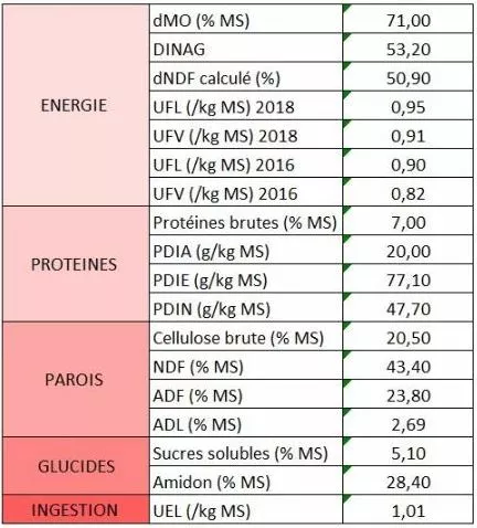 Visuel LG tableau des valeurs alimentaires moyennes des maïs en vert récolte 2022