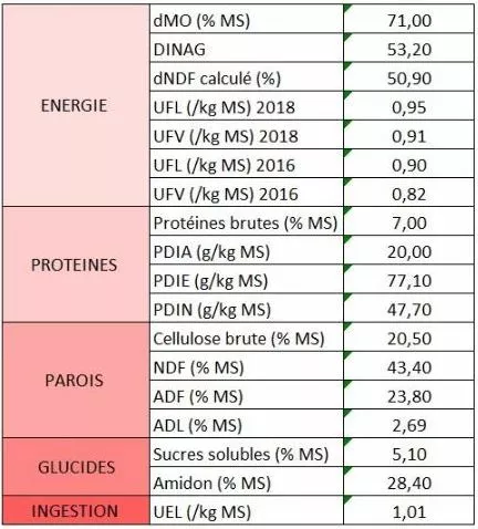 LG tableau des valeurs alimentaires moyennes des maïs en vert récolte 2022 Visuel LG tableau des valeurs alimentaires moyennes des maïs en vert récolte 2022