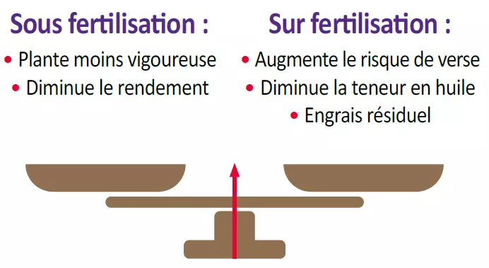 Visuel Balance_fertilisation_colza.PNG