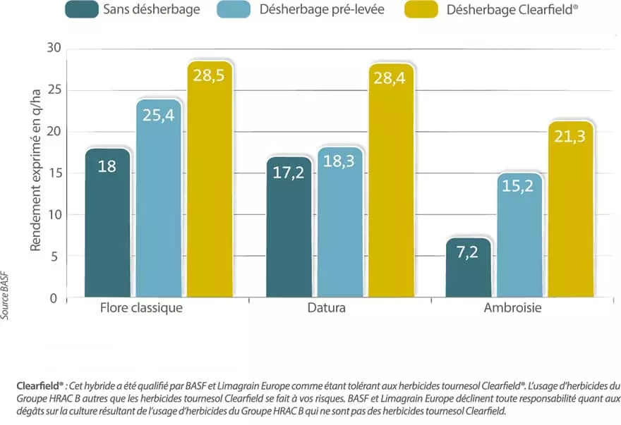 Visuel Désherbage tournesol