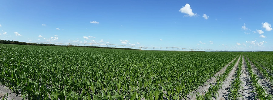 Visuel irrigation-pivot-haute-landes.jpg