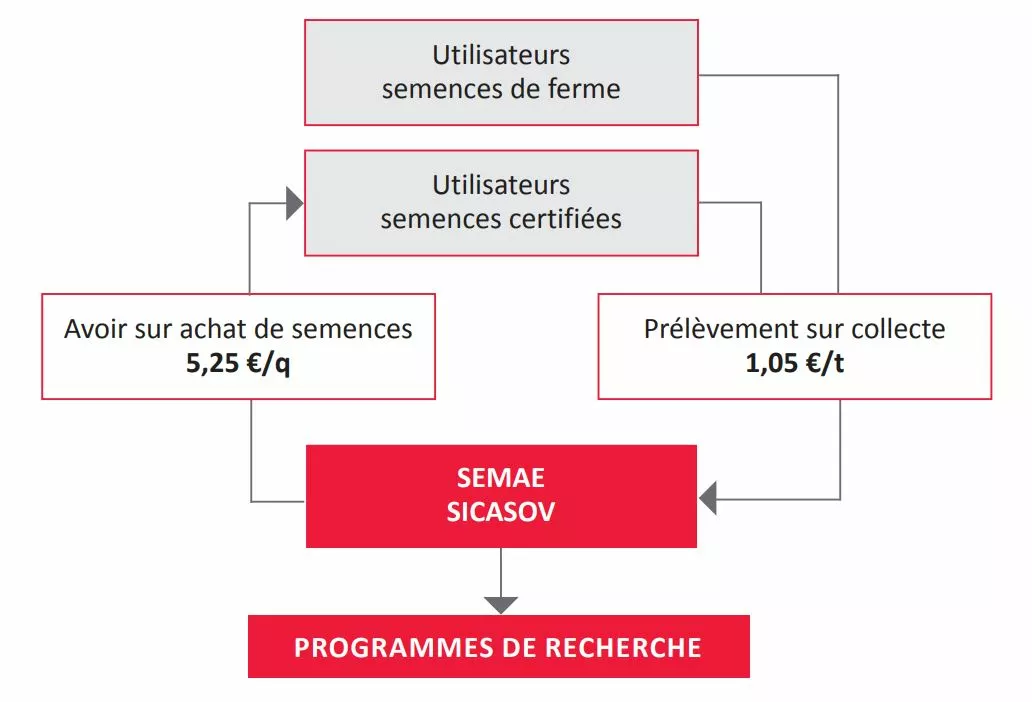 Graphique CRIV.JPG Visuel Graphique CRIV.JPG