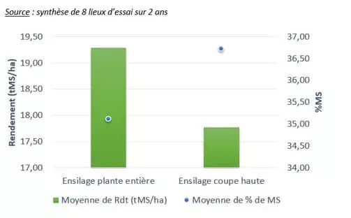 Rendement matière sèche maïs fourrage coupe haute Visuel Rendement matière sèche maïs fourrage coupe haute