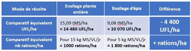 comparatif plante entière et ensilage d'épis maïs Visuel comparatif plante entière et ensilage d'épis maïs
