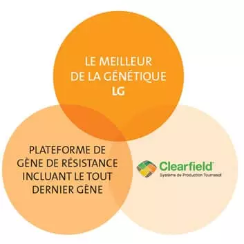 Clearfield Visuel Clearfield