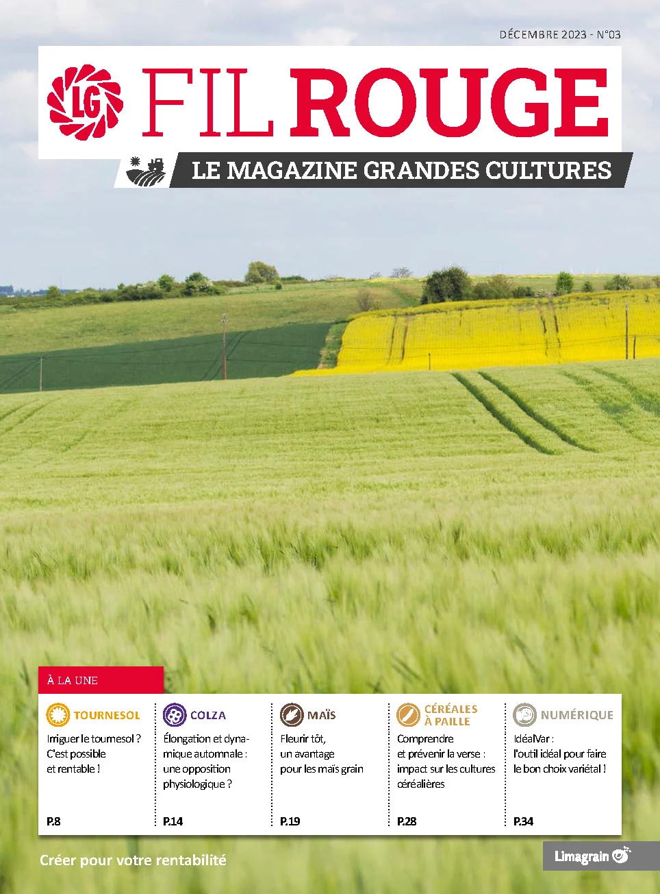 Fil Rouge Grandes cultures n°3 - Décembre 2023 Visuel Fil Rouge Grandes cultures n°3 - Décembre 2023