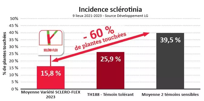 Incidence sclérotinia Visuel Incidence sclérotinia