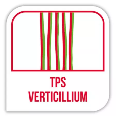 Visuel Avantage TPS VERTICILLIUM