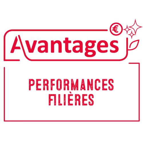 3.png Visuel 3.png