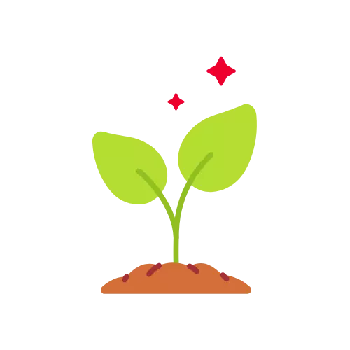 3.png Visuel 3.png