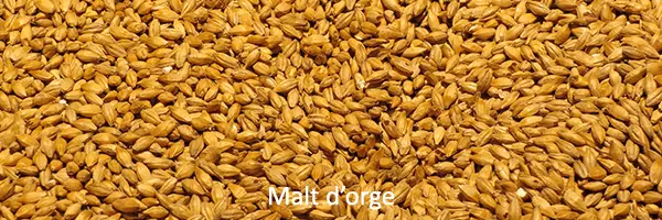 Visuel Malt d'orge