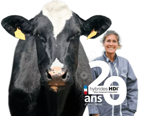 <p>Profitez d'avantages et services premium avec la gamme maïs fourrage HD<em>i</em><sup>®</sup></p>