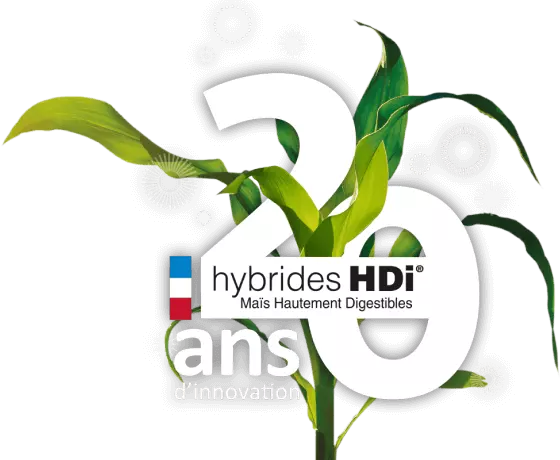 <p>Découvrez les témoignages d'éleveurs et les derniers résultats d'essais officiels et internes des maïs fourrage HD<em>i®</em></p>