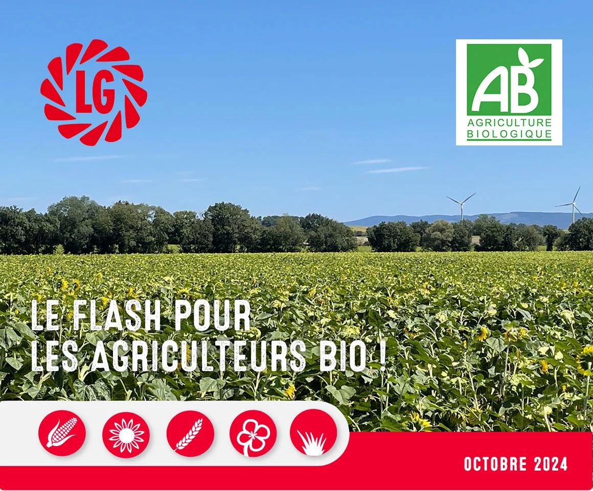 LIMAGRAIN-NEWSLETTER-BIO-2024_580PX_OCTOBRE2024_01.jpg Visuel LIMAGRAIN-NEWSLETTER-BIO-2024_580PX_OCTOBRE2024_01.jpg