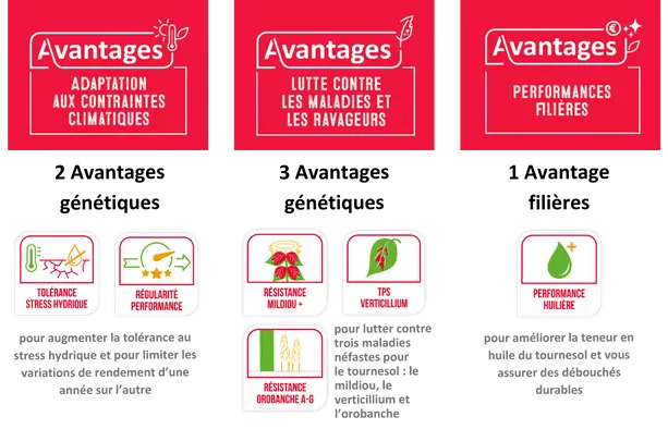 GC Newsletter CJ tournesol - assolement (12).png Visuel GC Newsletter CJ tournesol - assolement (12).png