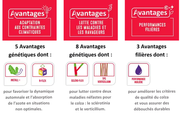 GC Newsletter CJ colza - assolement (1).png Visuel GC Newsletter CJ colza - assolement (1).png