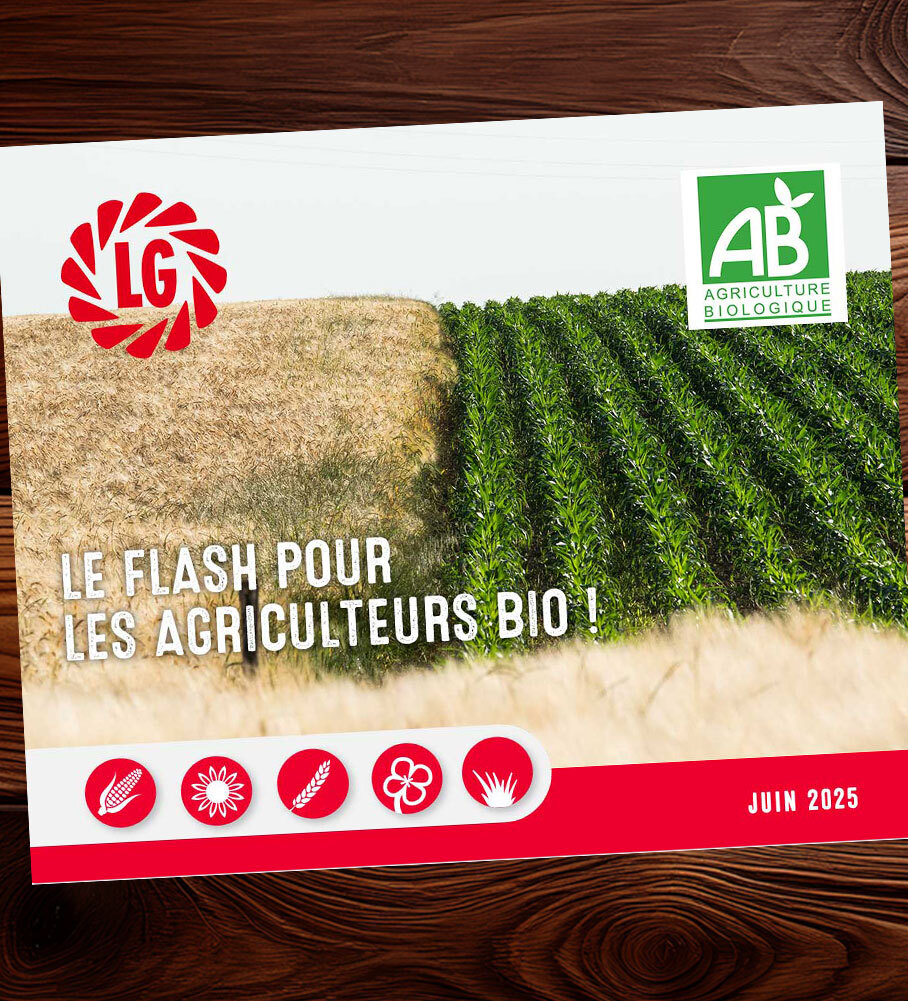 Le Flash Bio n°8 est sorti ! Découvrez-le !