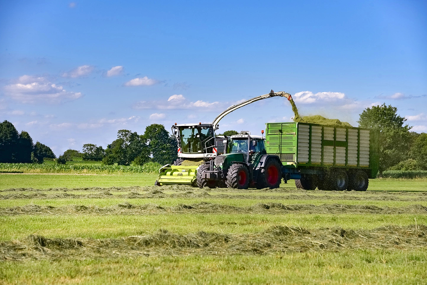 Fourragères LG - Chantier d'ensilage d'herbe - AdobeStock_13499115 Visuel Fourragères LG - Chantier d'ensilage d'herbe - AdobeStock_13499115
