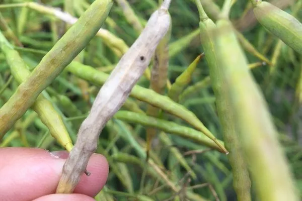 Visuel Design sans titre (6).jpg