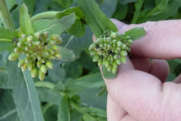 Visuel Design sans titre (7).jpg