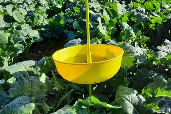 Visuel Design sans titre (10).jpg