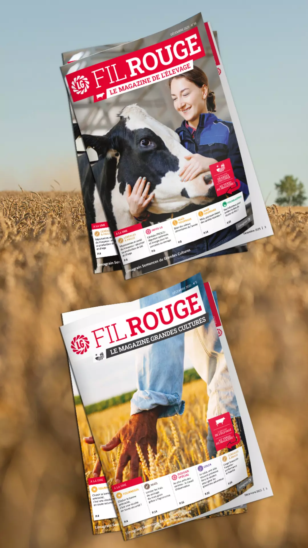 Visuel Design sans titre (80).png