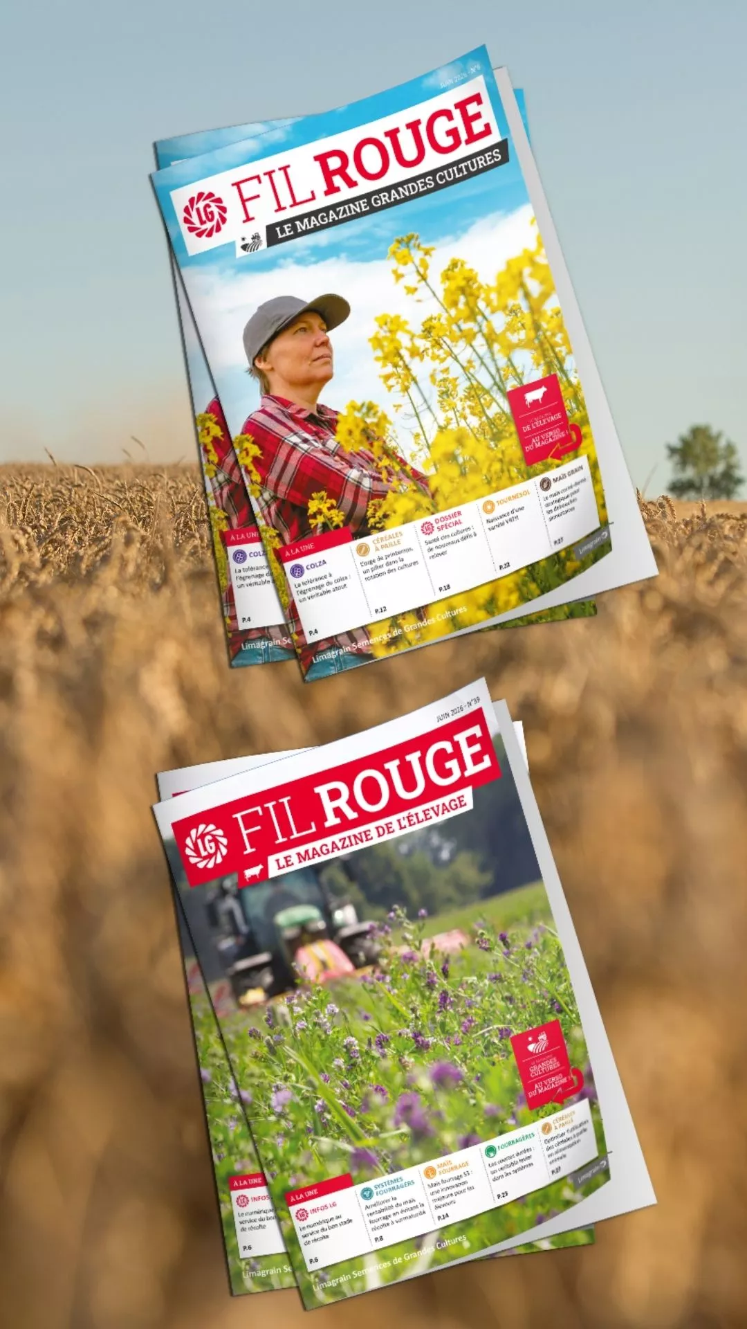 Visuel GC - Visuel Fil Rouge.jpg