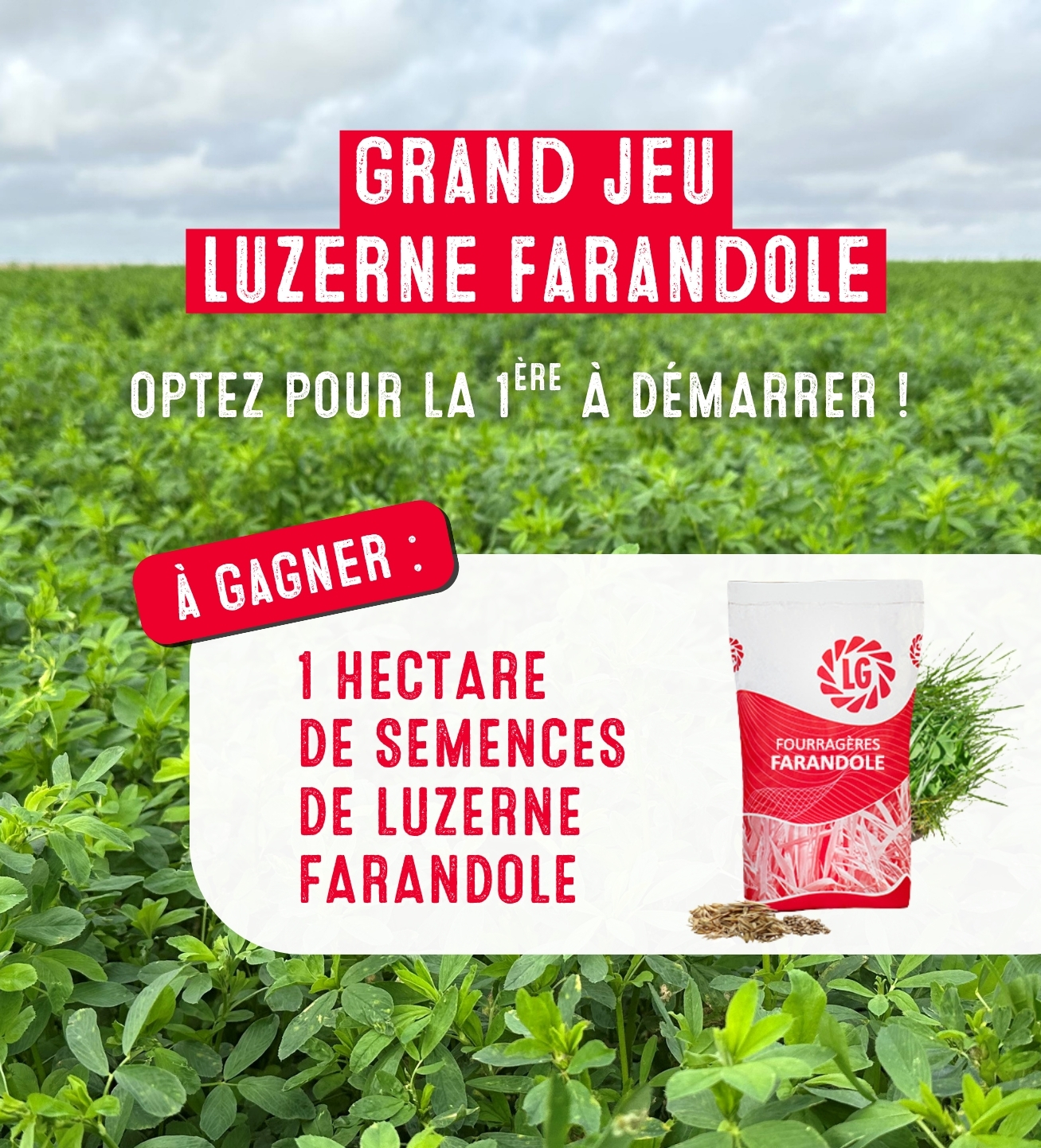 Grand jeu luzerne FARANDOLE