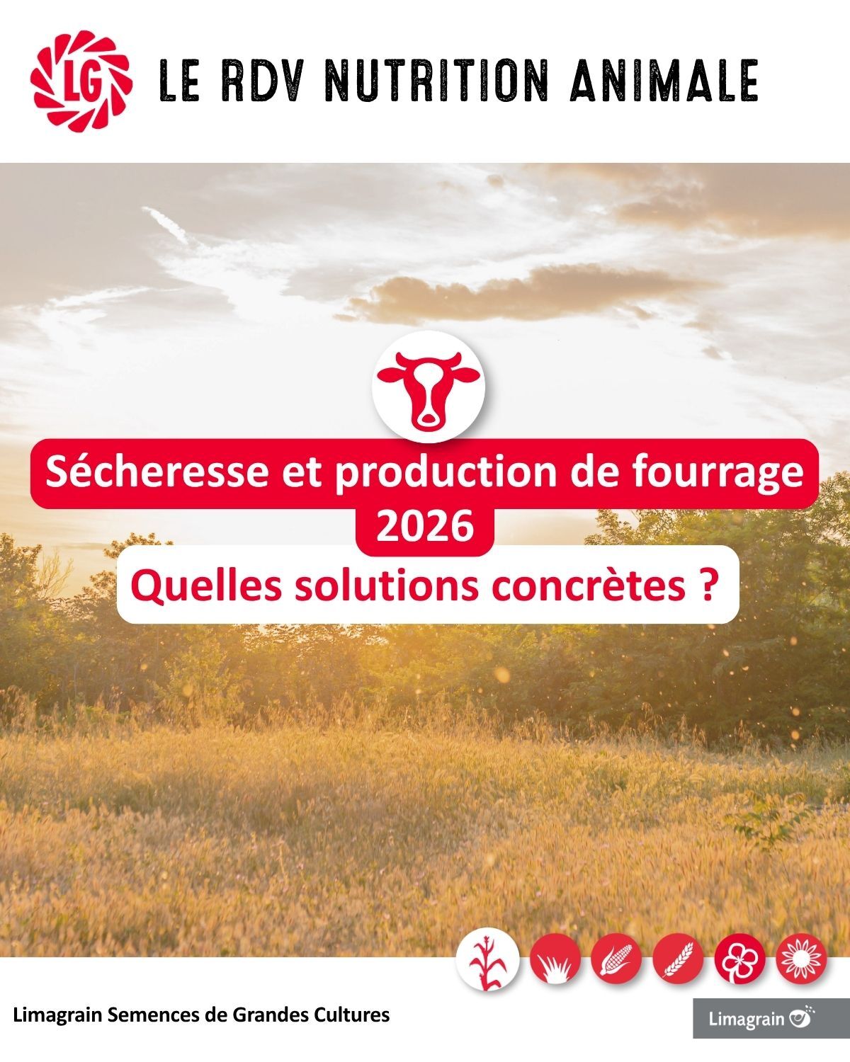 Sécheresse et production de fourrage 2026, quelles solutions concrètes ?