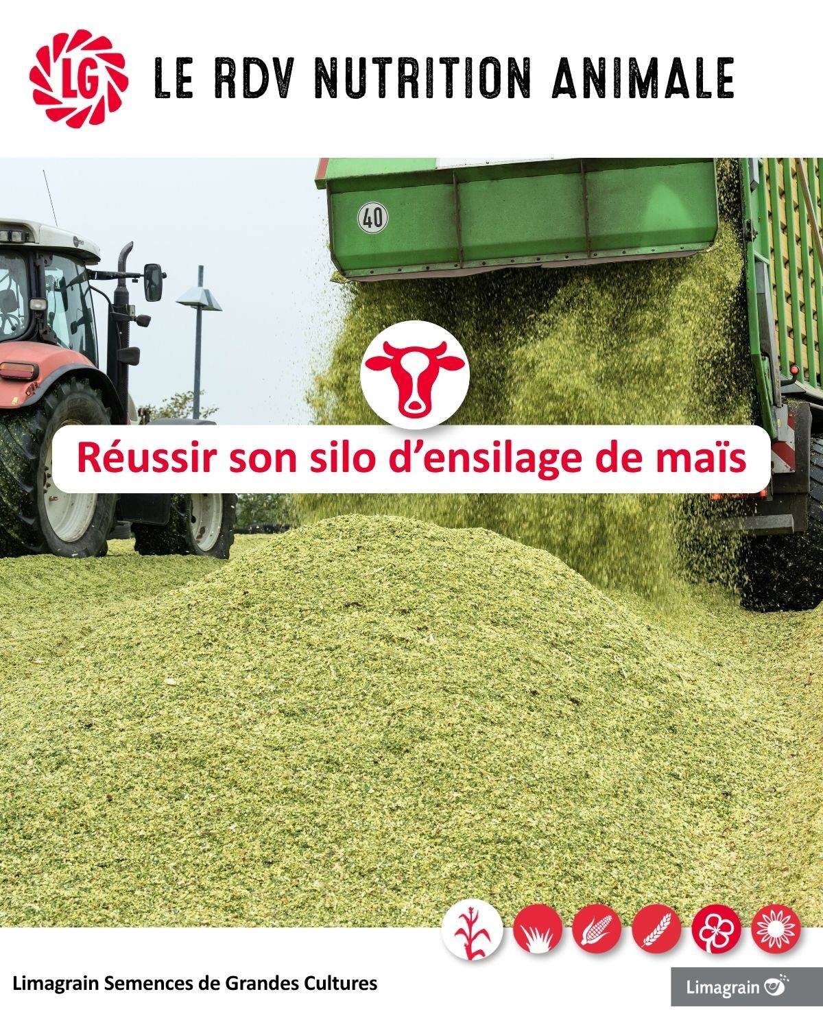 5 astuces pour réussir son silo d’ensilage de maïs