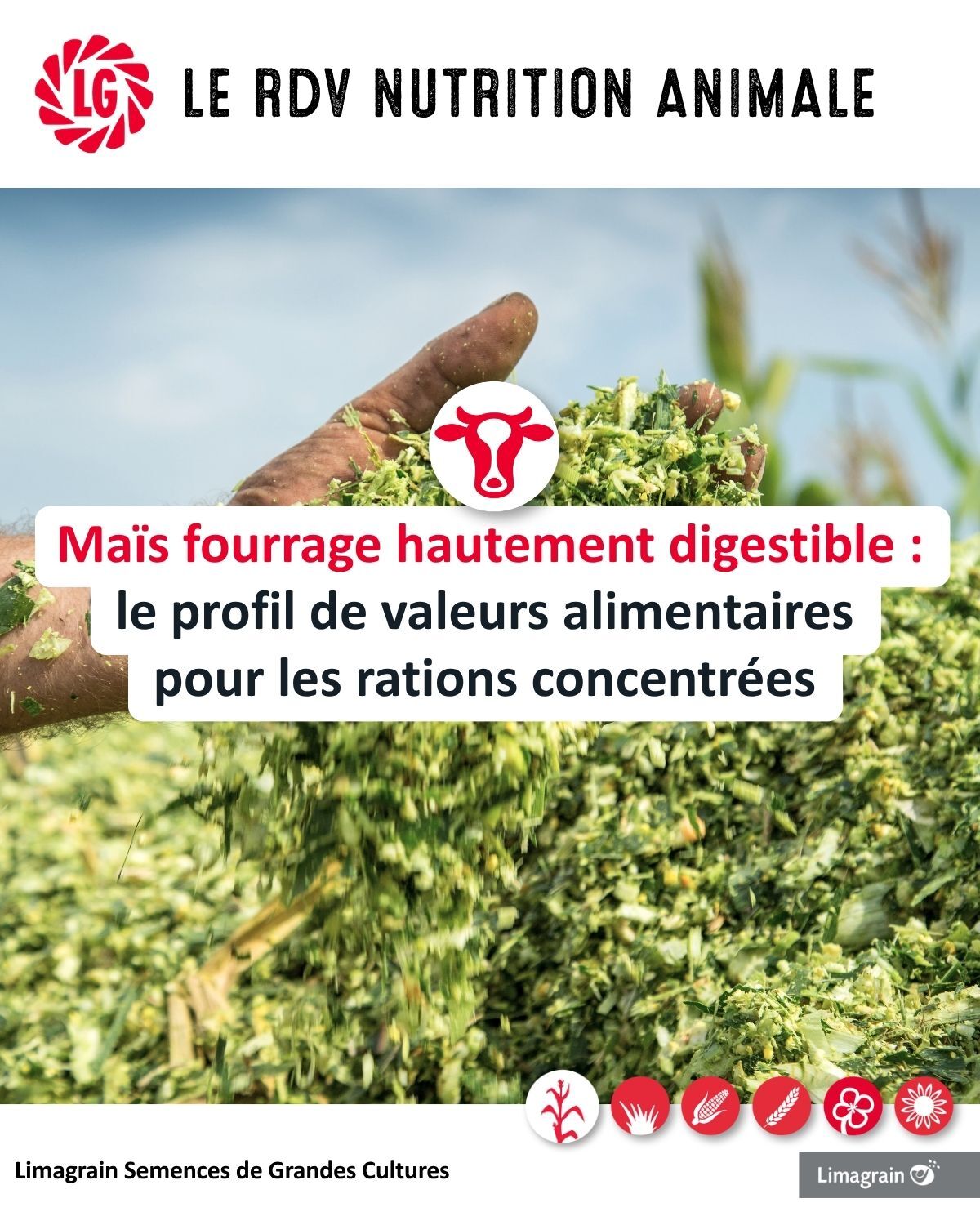 Top performance des variétés de maïs HDi® en 2025