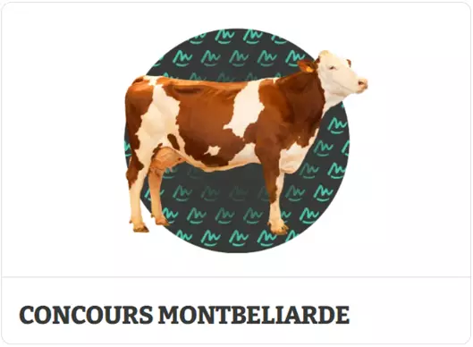 Visuel Concours_bovins_lait_Montbeliarde_Sommet_elevage_2026.png