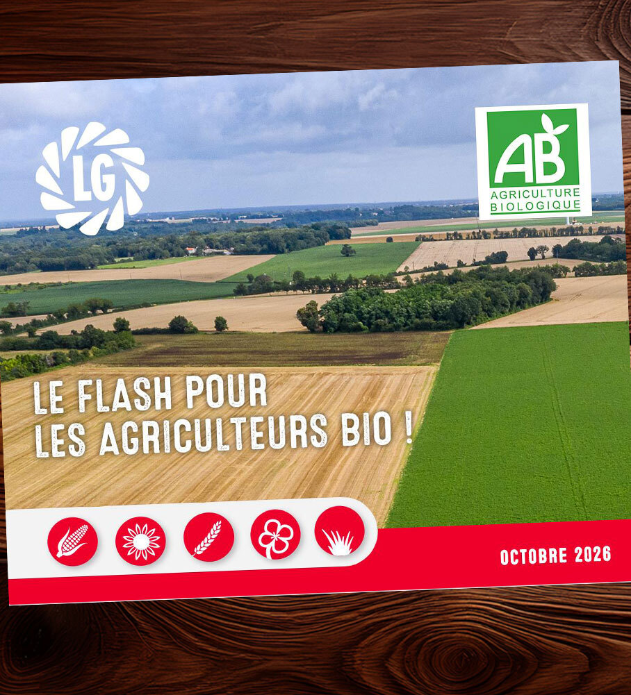 Le Flash Bio n°11 est sorti ! Découvrez-le !