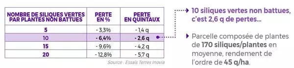 Visuel LG Tableau Colza egrenage