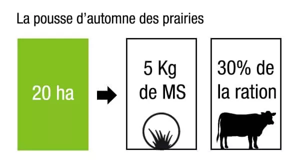 Pousse_herbe_automne Visuel Pousse_herbe_automne